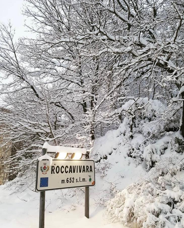 Bellavista B&B Roccavivara 外观 照片